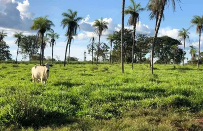 Oportunidade: fazenda á venda na região sul de tocantins