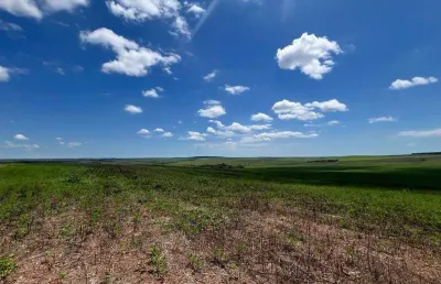 Fazenda espetacular em cristalina, go - 1132 hectares