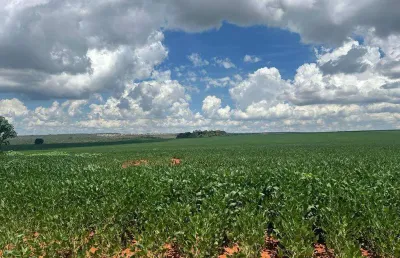 Fazenda de 1.714 hectares em ocidental-go próxima a luziânia