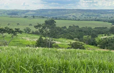 Chácara / sítio com 1 quarto à venda na Área Rural, Área Rural de Catalão, Catalão