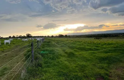 Fazenda de dupla aptidão localizada no município de flor de goias - go próximo a agua fria - go