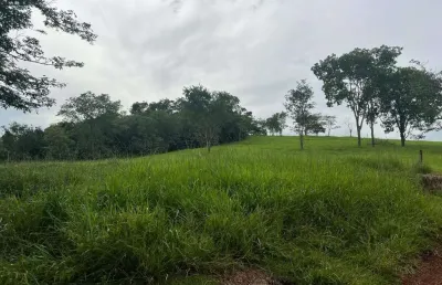 Fazendinha a venda entre araguari e trevo de indianópolis - mg