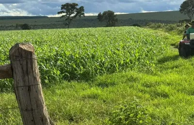Grande fazenda a venda na área rural de brasilândia de minas - mg