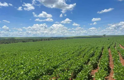 Excepcional fazenda dupla aptidão com 2.300 hectares sendo 1.200 hectares de lavoura e muito bem estruturada à venda em cristalina/go