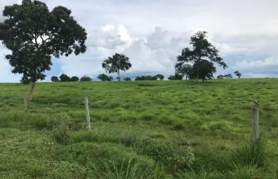 Fazenda à venda, area rural de flores de goias - go - flores de goiás/go