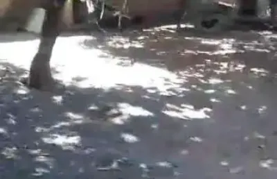 Chácara à venda, 4 quartos, 1 suíte, morada nova - uberlândia/mg