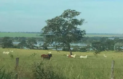 Fazenda à venda, area rural de cachoeira alta-go - cachoeira alta/go
