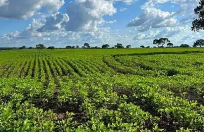 Fazenda à venda, area rural de paraiso do tocantins -to - paraíso do tocantins/to