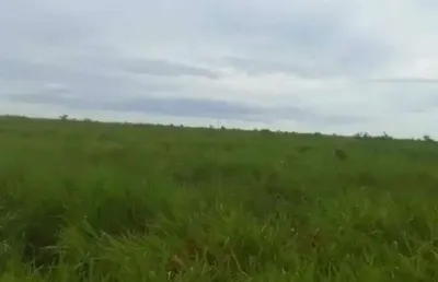 Fazenda à venda, arera rural de centenario - to - centenário/to