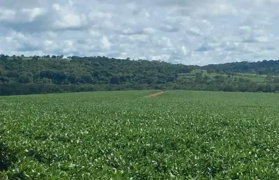 Fazenda à venda, área rural de mineiros - mineiros/go