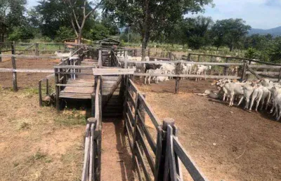 Fazenda à venda, 6 quartos, 3 suítes, área rural de uberlândia - uberlândia/mg