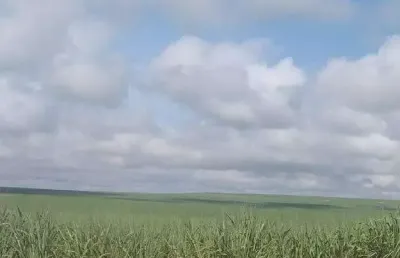 Fazenda à venda, área rural de mineiros - mineiros/go
