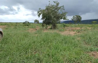 Fazenda à venda, área rural de barra do garças - barra do garcas/mt