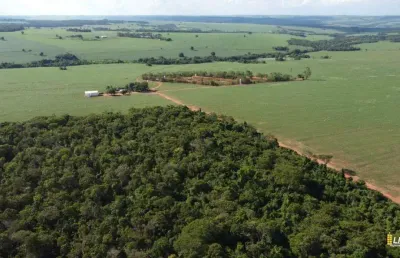 Chácara / sítio à venda na Zona Rural, Área Rural de Jataí, Jataí