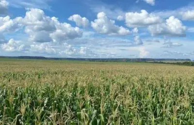 Fazenda à venda, area rural de balsas - ma - balsas/ma