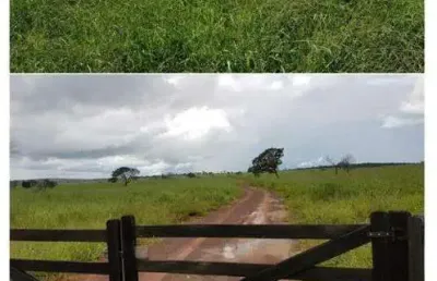 Fazenda à venda, área rural de paranatinga - paranatinga/mt
