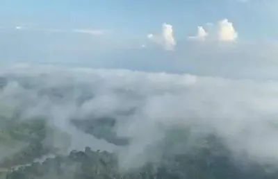 Fazenda à venda, area rural de aripuana-mt - aripuanã/mt