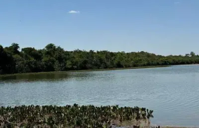 Fazenda à venda, area rural de nova maringa - mt - nova maringá/mt
