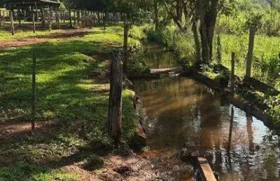 Fazenda à venda, área rural de uberlândia - uberlândia/mg