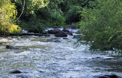 Fazenda à venda, area rural de araguari - araguari/mg