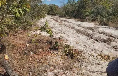 Fazenda à venda, area rural de bonito de minas - mg - bonito de minas/mg