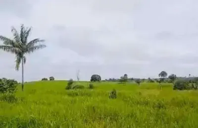 Fazenda à venda, area rural de maraba - pa - marabá/pa