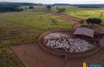 Fazenda à venda, area rural de araguaina - to - araguaina/to