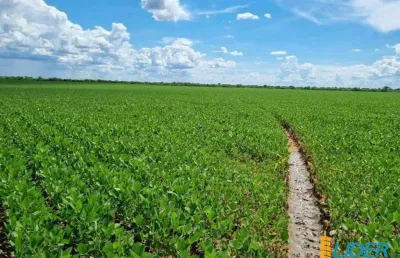 Chácara / sítio à venda na Zona Rural, Zona Rural, Peixe