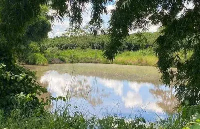 Fazenda à venda, área rural de monte carmelo - monte carmelo/mg