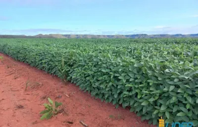 Fazenda à venda, area rural de balsas - ma - balsas/ma