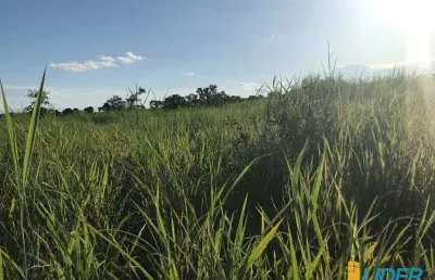 Fazenda à venda, area rural de minaçu - go - minaçu/go