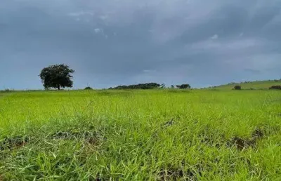 Fazenda à venda, área rural de uberlândia - uberlândia/mg