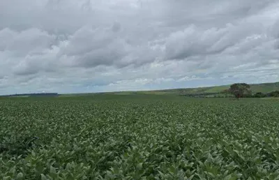 Fazenda à venda, area rural de luziani-go - luziânia/go
