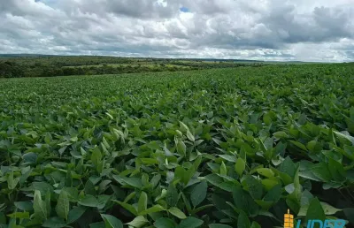 Fazenda à venda, área rural de tupaciguara - tupaciguara/mg