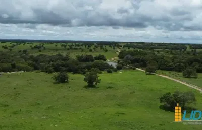 Fazenda à venda, area rural de formoso do araguaia - to - formoso do araguaia/to
