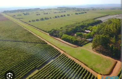Fazenda à venda, area rural de são gotardo - mg - sao gotardo/mg