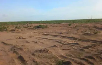 Fazenda à venda, area rural de alvorada do gurguéia - pi - alvorada do gurguéia/pi