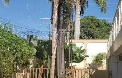 Casa com 4 quartos para alugar na Rua dos Canarinhos, Cidade Jardim, Uberlândia