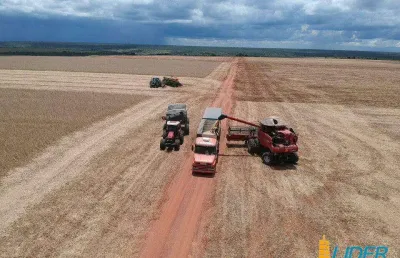 Fazenda à venda, área rural de uberlândia - uberlândia/mg