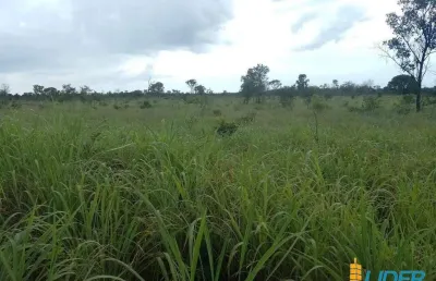Excelente fazenda com 9680 hectares à venda no município de almas/to