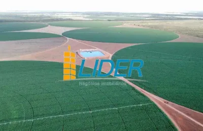 Excepcional fazenda com 987 hectares sendo 725 hectares de plantio à venda em paracatu - mg