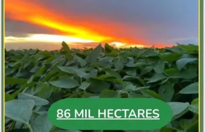 Espetacular fazenda dupla aptidão com 86.627 hectares e muito bem estruturada à venda no nordeste do estado de mato grosso
