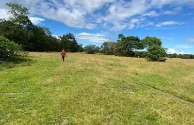 Excelente fazenda dupla aptidão com 3.300 hectares e boas estruturas à venda em santarém - pa