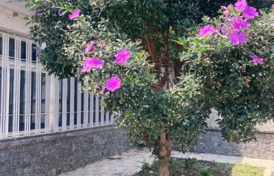 Casa com 3 quartos para alugar na Rua Padre Donizetti Tavares de Lima, 00, Santana, São Paulo