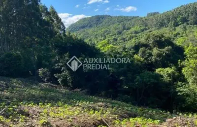 Terreno à venda na estrada da areia, 3330, areia, rolante, 4518 m2 por r$ 52.000