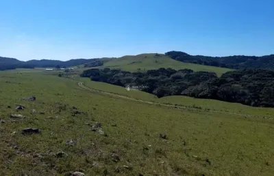 Fazenda à venda na getúlio vargas, 937, centro, cambará do sul, 1760000 m2 por r$ 5.200.000