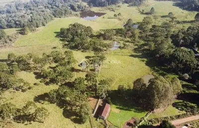 Fazenda à venda na são francisco, 1, centro, são francisco de paula, 370000 m2 por r$ 1.750.000