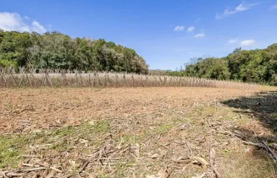 Chácara / sítio com 1 quarto à venda na Rua Sílvio Dallagrana, 1, Ferraria, Campo Largo