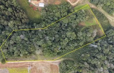 Chácara / sítio com 1 quarto à venda na Rua José Ali Manfron, 10, Centro, Campo Magro