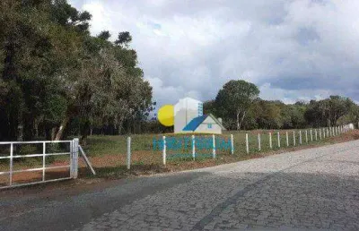 Chácara / sítio com 1 quarto à venda em Miringuava, São José dos Pinhais 